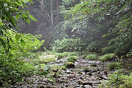 深山峡谷深,山,河