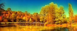 湖,森林,橋