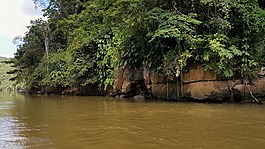河岸邊,巖,水