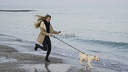 狗,海,海滩