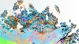 分形,梦,幻想