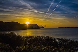 日出,海岸,海洋