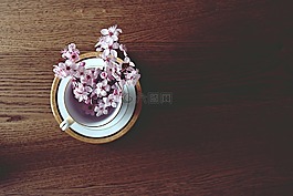 春,櫻桃,盛開