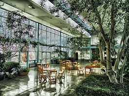 植物園,鹽湖城,猶他州