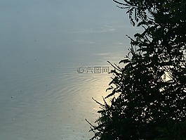 黎明,島,德拉瓦