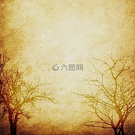 背景,剪貼簿,紙