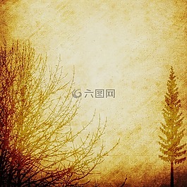 背景,剪貼簿,紙