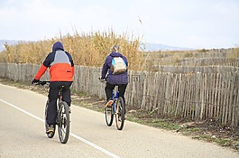 騎單車的男子,自行車,人