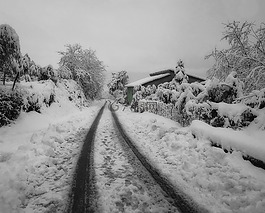 雪,斯佩,冬季