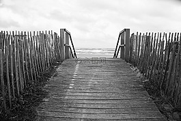 木材,海灘,海