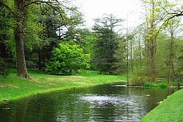 公園,池,水