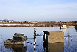 水,景觀,和平