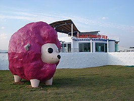 咖啡廳,咖啡屋,羊