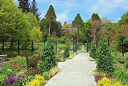 莫里斯植物園,費城,賓夕法尼亞州