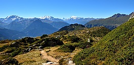 景观,山,离