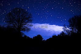 圣誕節(jié),明星,節(jié)日快樂(lè)