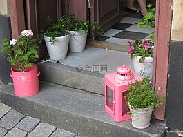 裝飾,草藥,罐