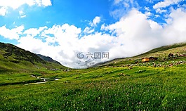 土耳其,黑海東,ispir