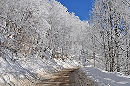 冬天,雪,霜