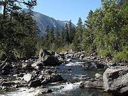 山,河,徒步旅行