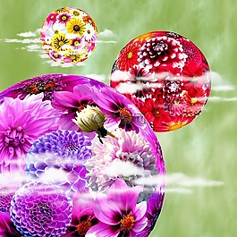 鮮花,開花,廠
