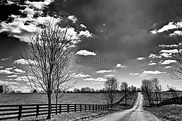 景观,blackandwhite,单色