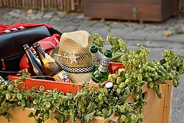 購(gòu)物車,嬰兒小推車,啤酒