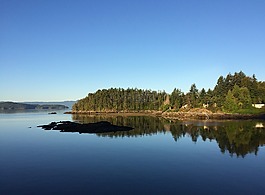 沿海,太平洋,海