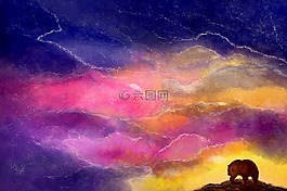 熊,天空,夜
