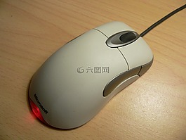 鼠標,計算機,硬件