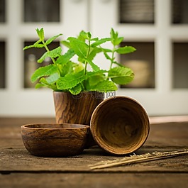 草藥,木材,菜