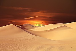 沙漠,太陽,景觀