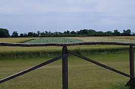 場,籬笆,木制
