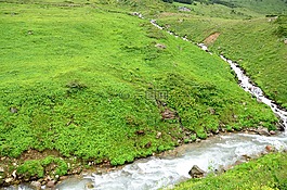 土耳其,黑海東,ispir