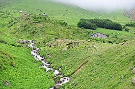 土耳其,黑海東,ispir
