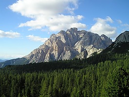 白云巖,山,森林