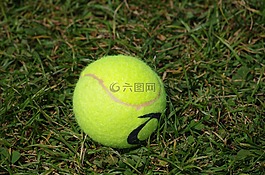 网球球,游戏,网球