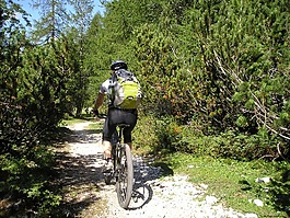 山地自行车,自行车,transalp
