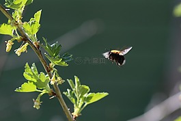 性質(zhì),工作表,戶外