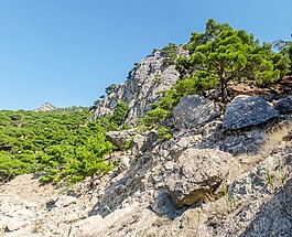 性质,石头,景观