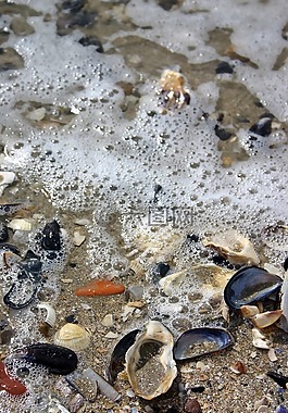 海,噴霧,北海