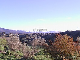 性質(zhì),中東地圖集,zaouiat esh-謝赫