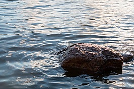石,海,水