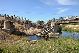 撒丁島,橋,過獨身生活