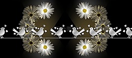 雛菊,鳥(niǎo),twitter