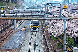櫻桃,日本,電動火車