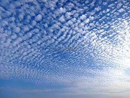天空,云,卷云