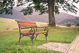 工作臺,公園,樹