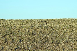 skoszone,草甸,stok