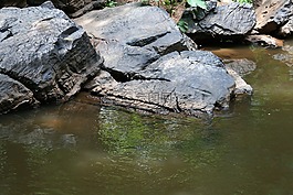 巖流,溪,布魯克